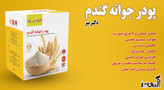 پودر جوانه گندم بین استار ( دکتر بیز )